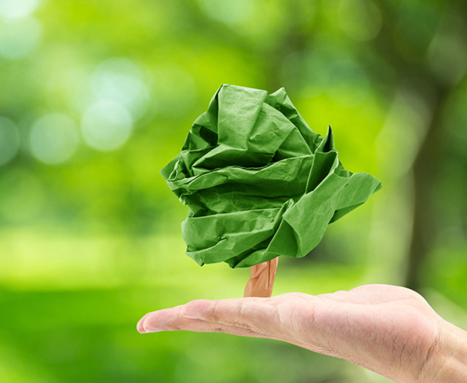 SPEA and the environment - paper consumption