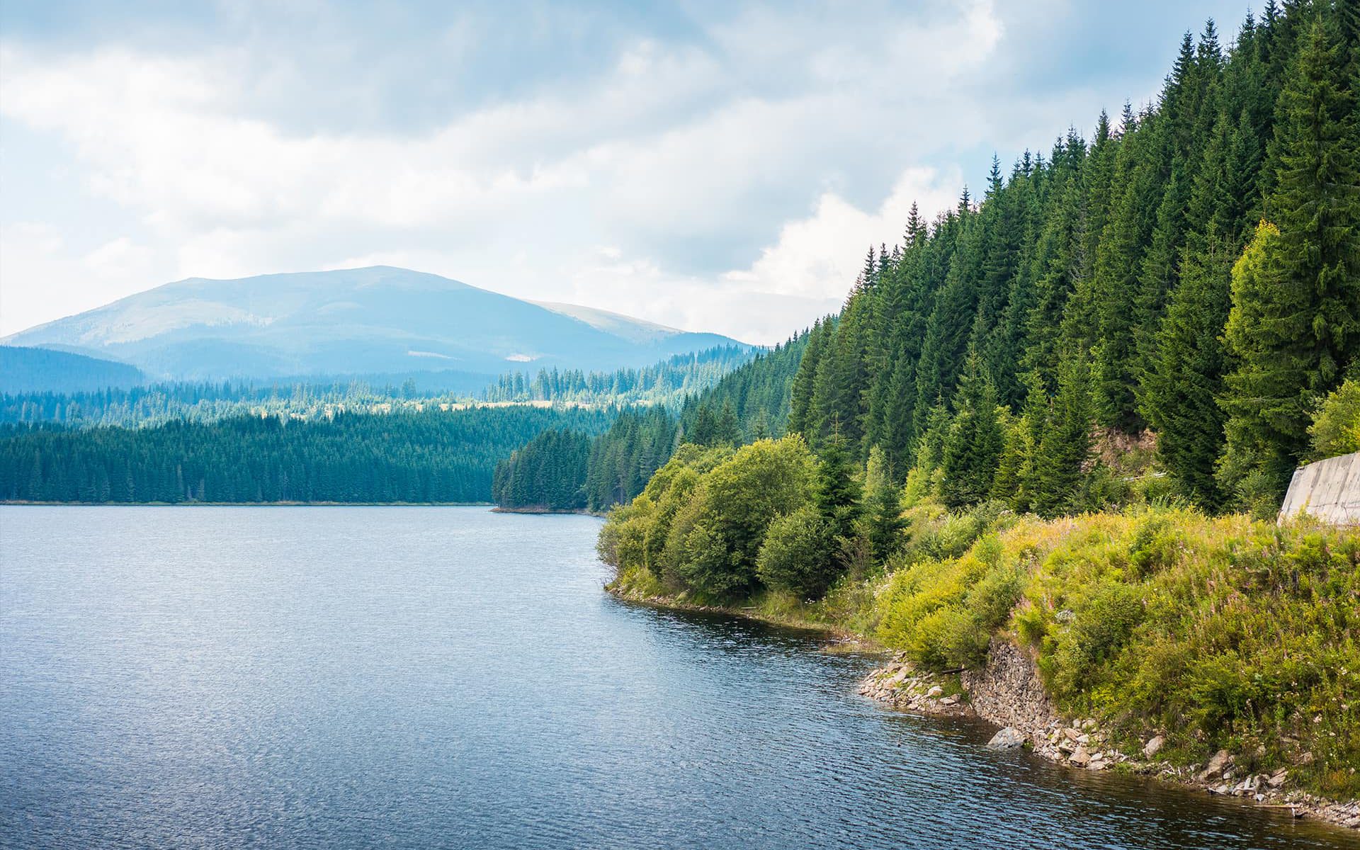 SPEA and the environment