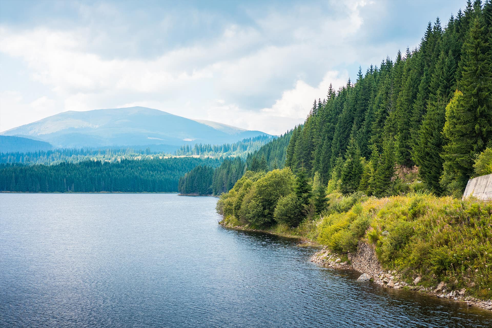 SPEA and the environment
